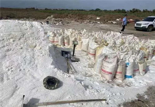 假鹽泛濫，五百余噸地下鹽場被摧毀